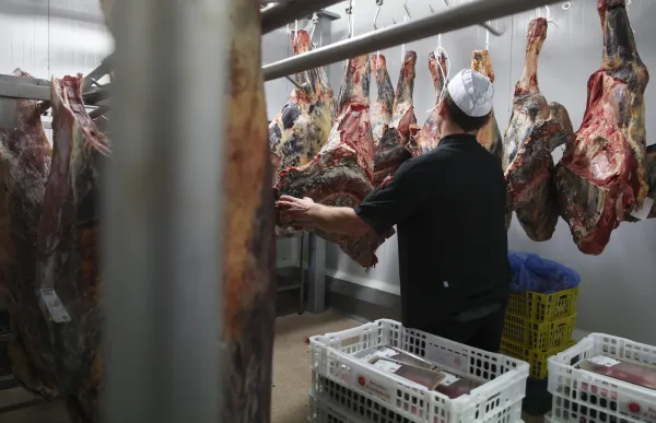 p. 06 esxorxador - Facundo Santana