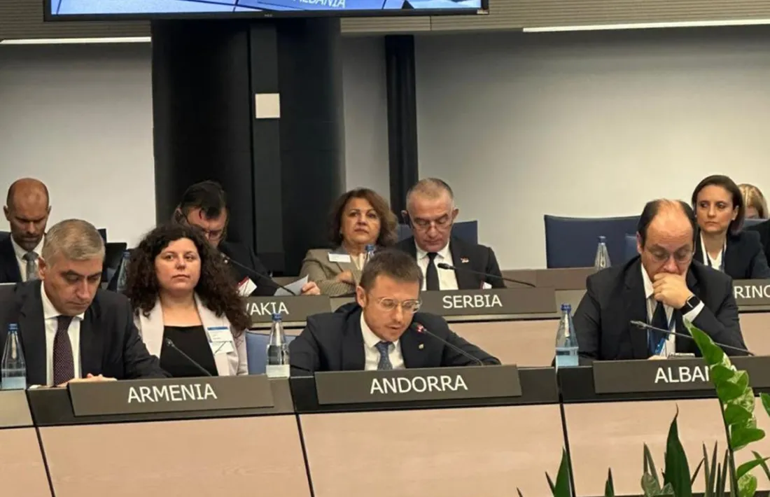 Joan León, avui al Consell d'Europa.