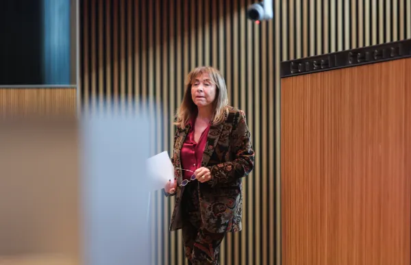 p. 04 Consell General - Facundo Santana-3