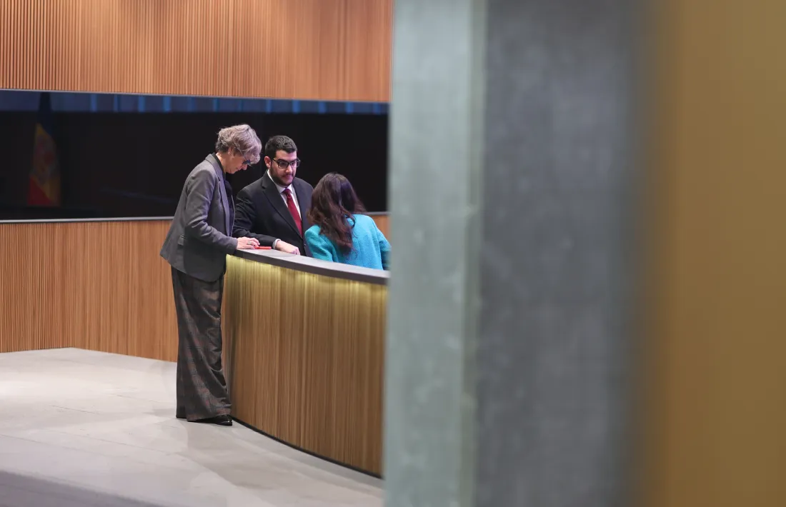 El grup parlamentari socialdemòcrata va presentar la proposició de llei l’octubre de l’any passat.