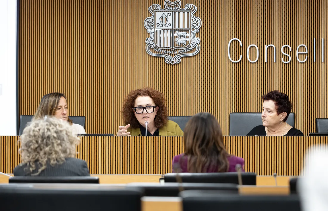 La presentació de l’activitat de l’institut durant l’any ha estat parcial, ja que encara queden algunes dades.