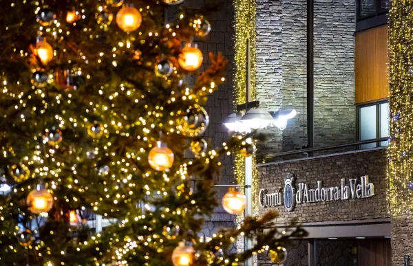 borsa interins (002)