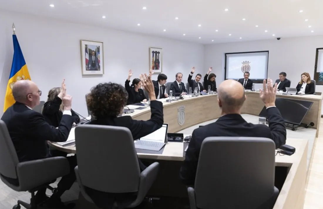 Votació d’un punt durant la sessió al Comú.