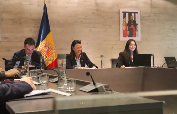 p. 10 betriu i coma_agencies