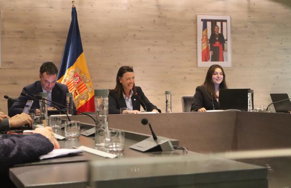 p. 10 betriu i coma_agencies