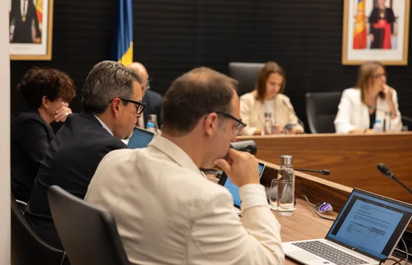 p. 04 david-perez_comu ee