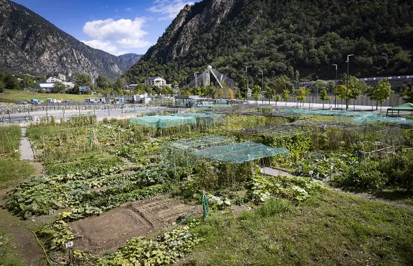 179247_horts margineda