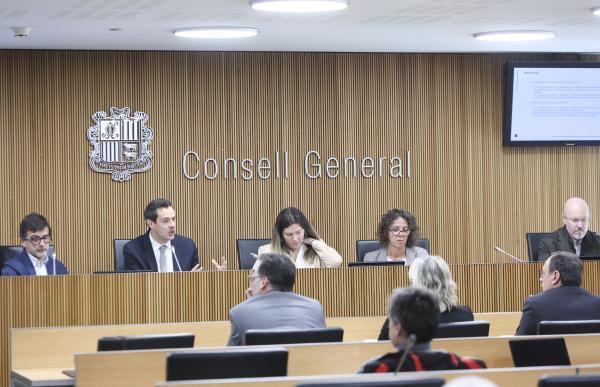 p. 03 Consell General Cass - Facundo Santana