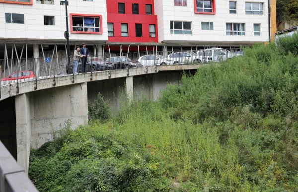 habitatge alv (1)