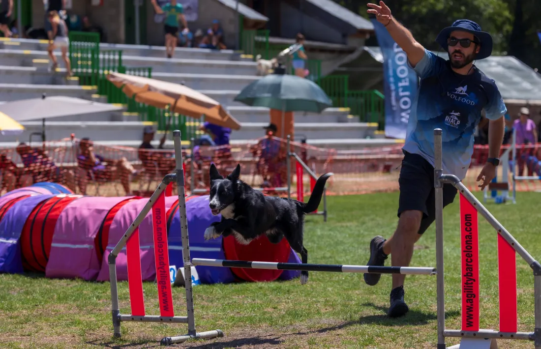 De Melo competint amb la seva gossa Kimba.