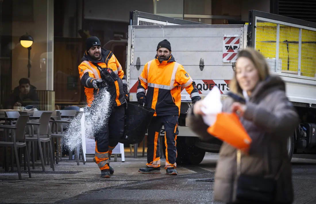 Efectius del departament d'Higene tirant sal a la via pública.