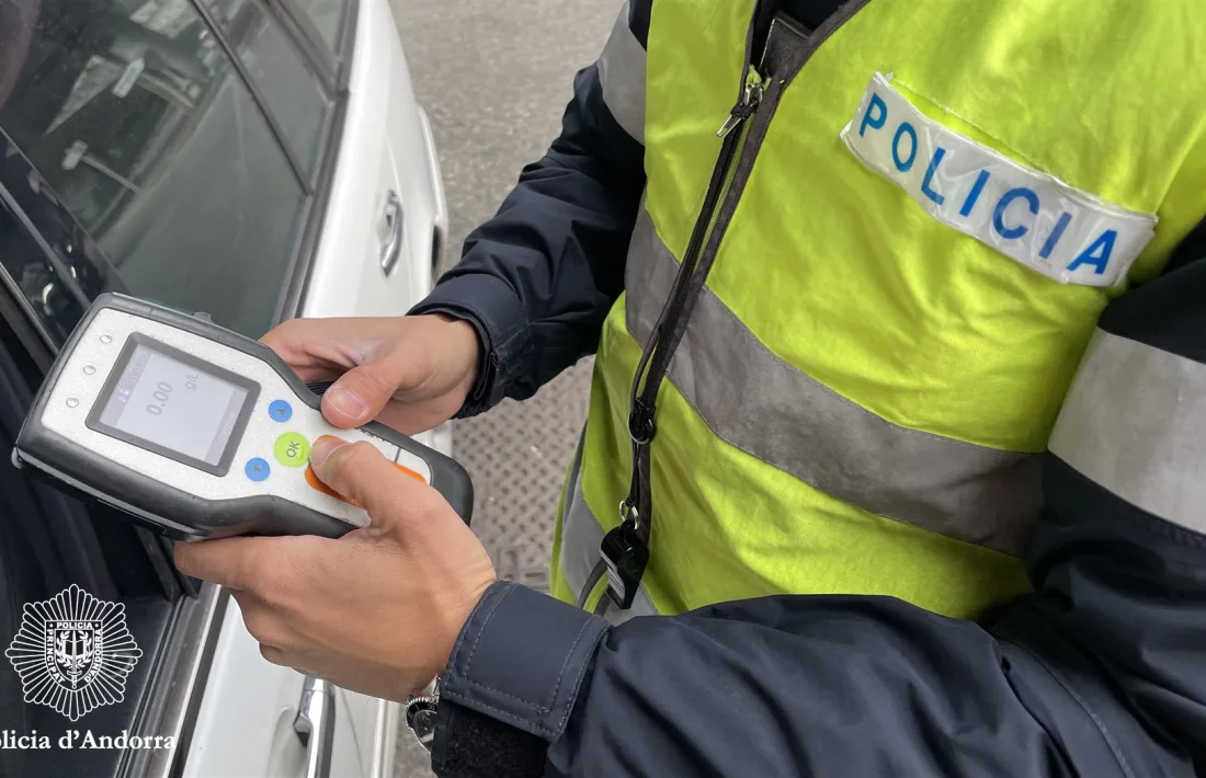 Un agent durant un dels controls de la darrera campanya de Nadal.