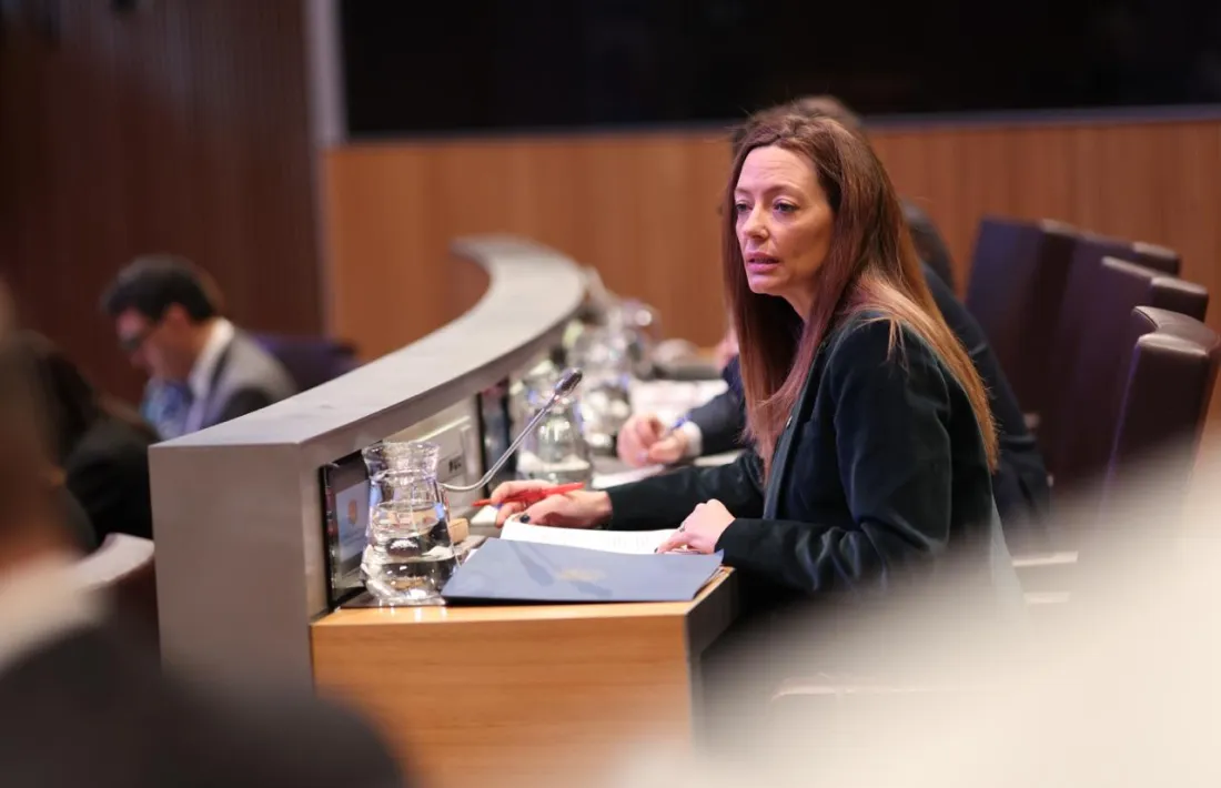 Helena Mas durant una de les intervencions al Consell General.