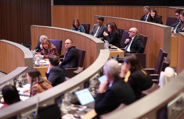 govern al consell_facu