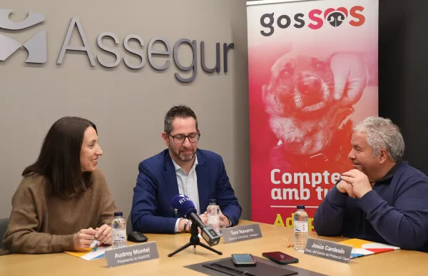 p. 08 montel navarro cardesin gosSOS agen