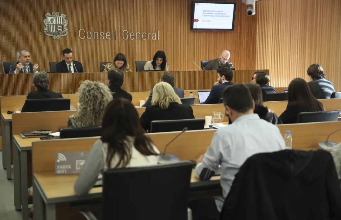 Escoriza i Galabert davant la comissió de seguiment de la CASS.