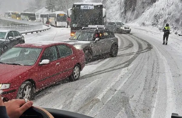 WhatsApp Image 2026-01-20 at 11.28.53