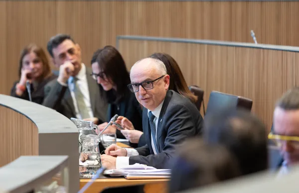 p. 04 llados al consell