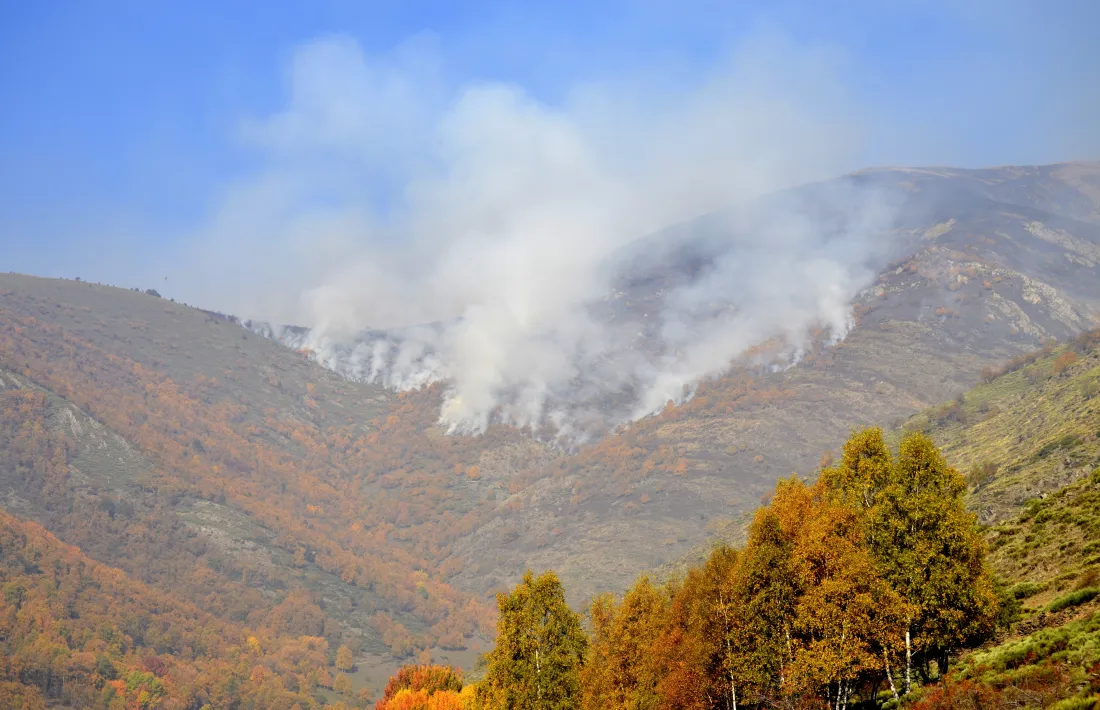 El foc de la Guingueta d’Àneu ja ha cremat unes 440 hectàrees