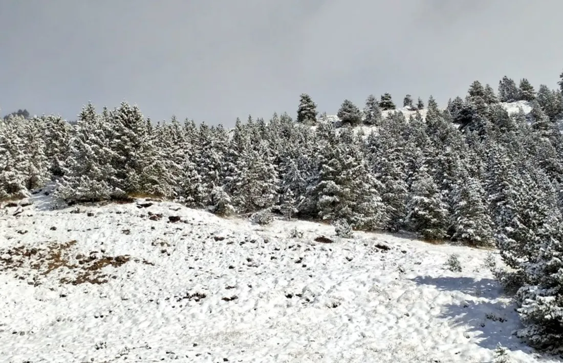 La irrupció d'aire polar enfarina el Pirineu