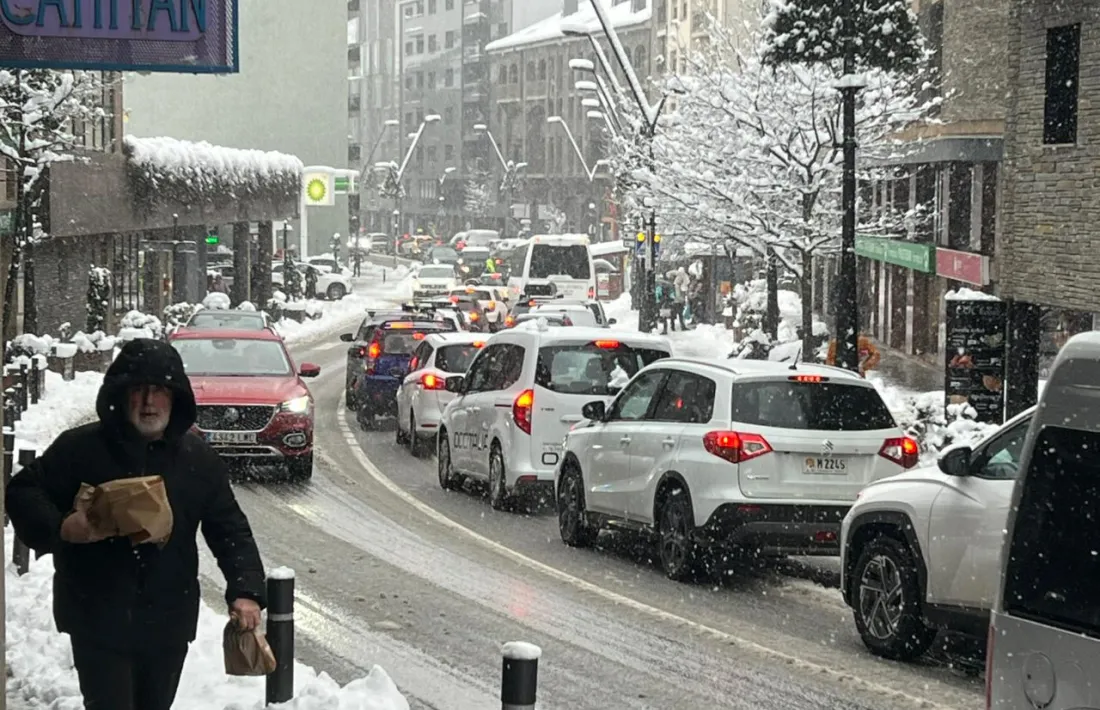 Vehicles aturats a la Massana.