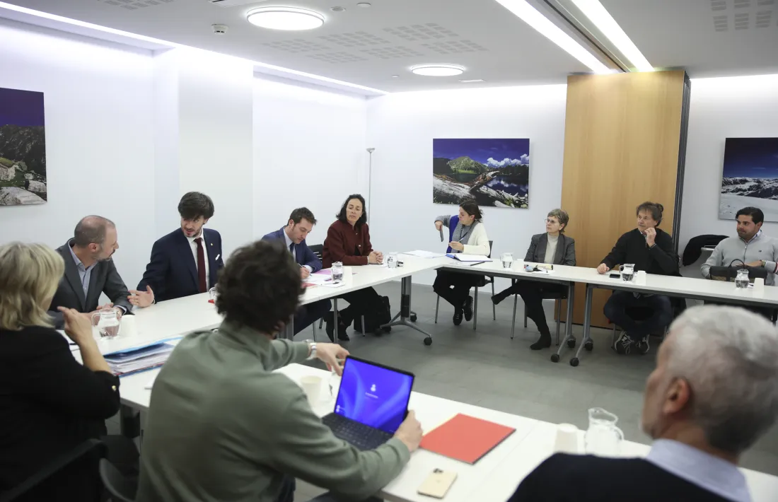 La comissió es va constituir el 8 de gener del 2025.