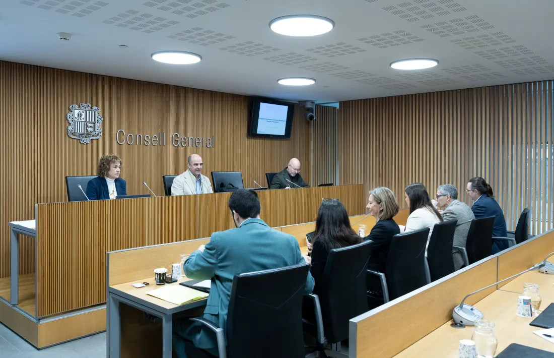 La presidenta de l'AREB, Sílvia Cunill, ha comparegut avui davant la comissió legislativa de Finances i Pressupost.