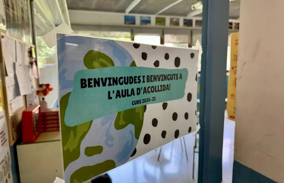      El document descriu una situació preocupant als centres educatius. 