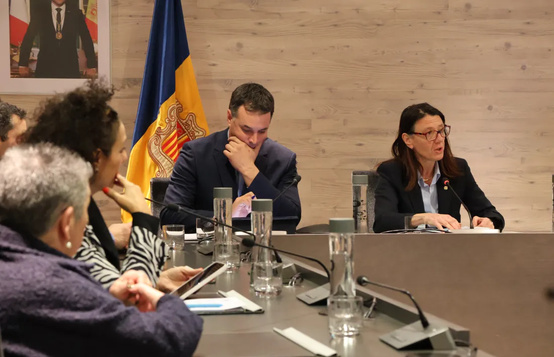 Betriu i Coma durant la sessió del Consell de Comú.