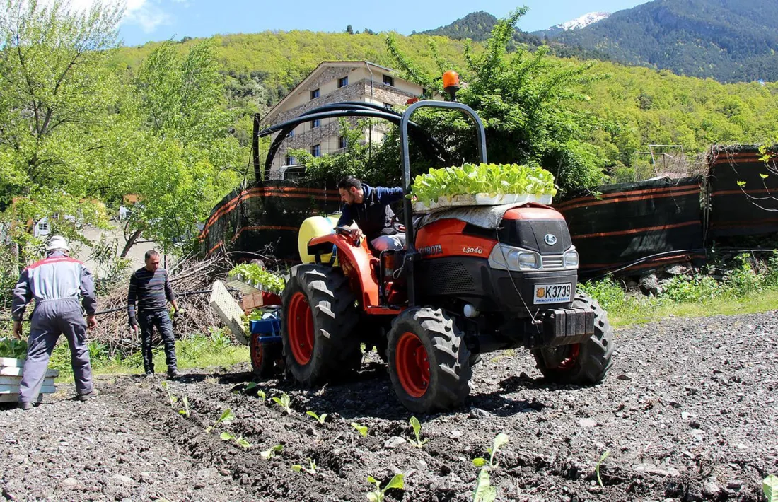 Treballadors d'una explotació amb un tractor.
