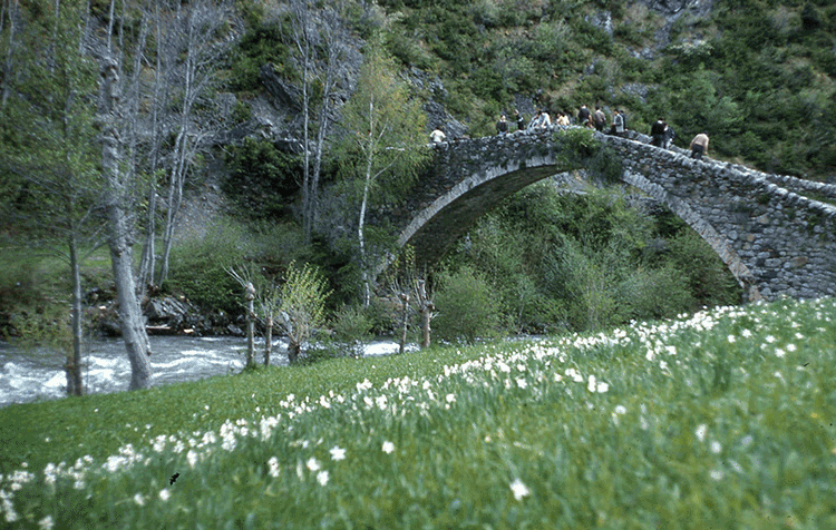 397-Pont-Margineda