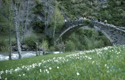 397-Pont-Margineda