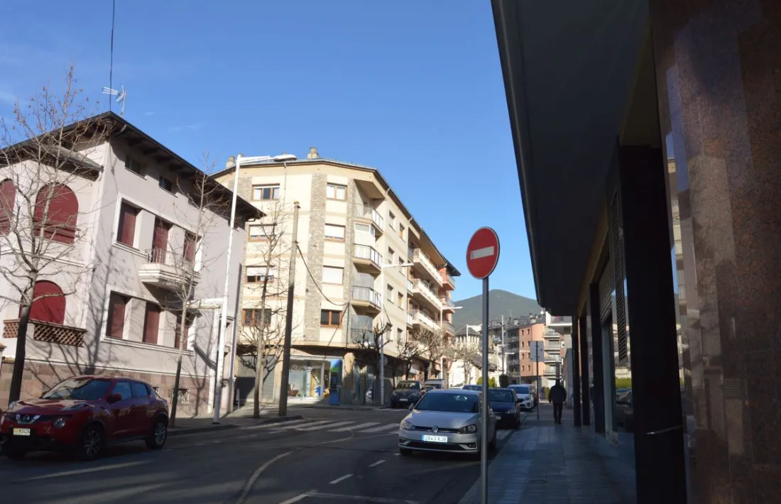 El llibre de Palomera crida a examinar les causes del problema.