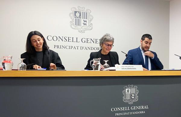 p. 07 PS Consell General - Aile