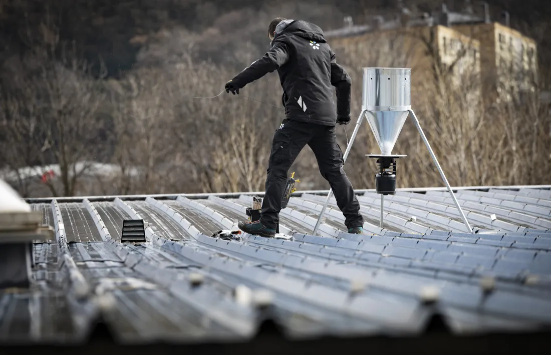 UN operari acabant la instal·lació d'un dels dispensadors de pinso per al control de la població de coloms.
