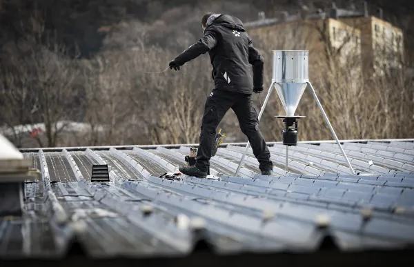 dispensadors pinso coloms