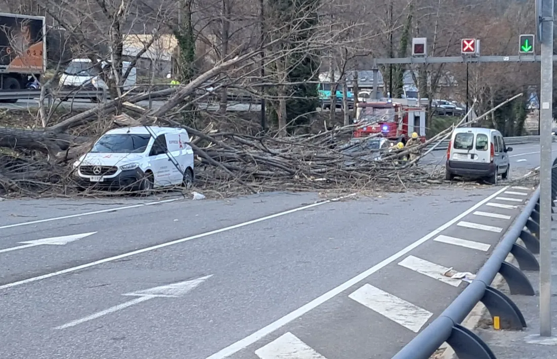 Alguns dels estralls provocats pel fort vent.