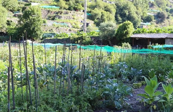 p. 10 foto baix horts socials