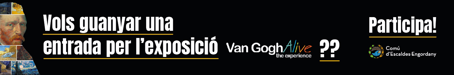 comu ee venda entrades vangogh