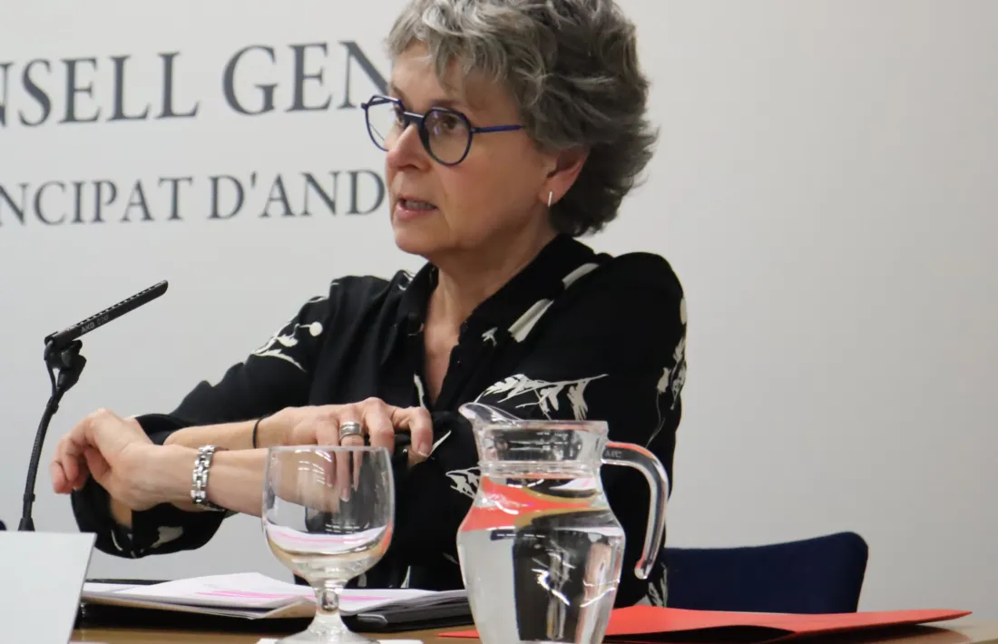 La presidenta del grup parlamentari socialdemòcrata, Susanna Vela.