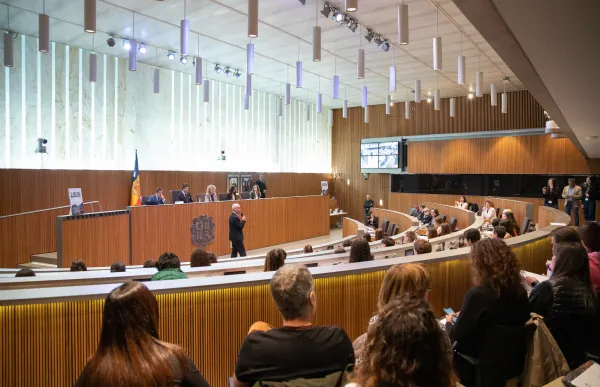 p. 08 consell general dels joves