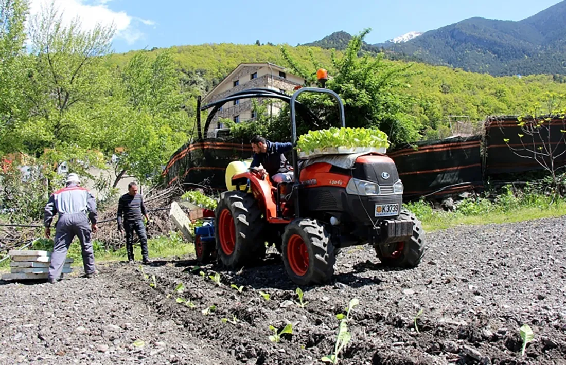 El sector agrícola és un dels que ha contribuït a millorar l'indicador de confiança empresarial.