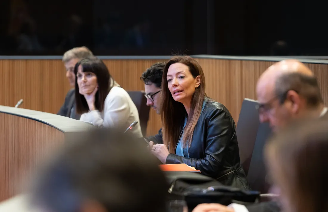 La ministra de Salut, Helena Mas, al Consell General.