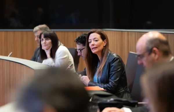 p. 04 mas_consell general