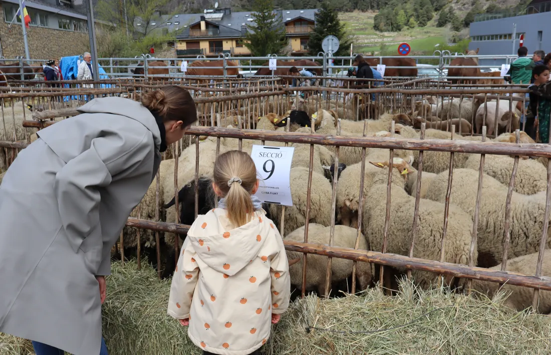 La Fira del bestiar d'Ordino.