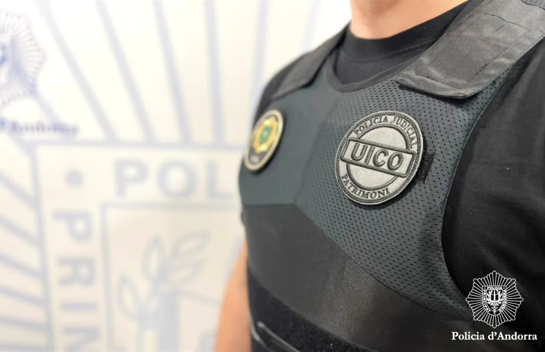 Un agent del grup de delictes contra el patrimoni.