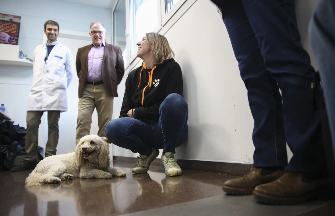 Ja se'n feien abans de teràpies amb cans, però és la primera vegada que entren a l'hospital.