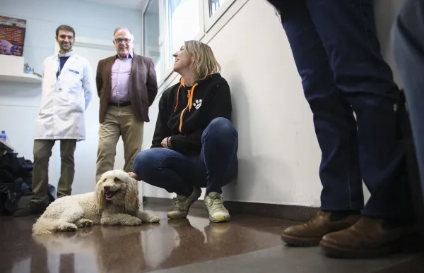 p. 08 Gossos Salut Mental - Facundo Santana