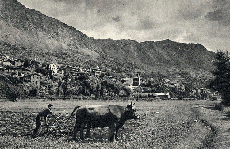 432-Bestiar-ALV-Gencat