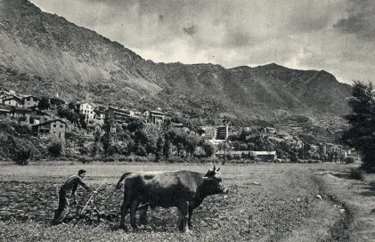 432-Bestiar-ALV-Gencat